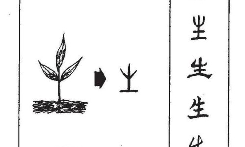 熟地黄的功效与作用图片-熟地黄的功效与作用网 - 为你提供九蒸九晒熟地黄的功效与作用、熟地黄的功效与作用吃法大全