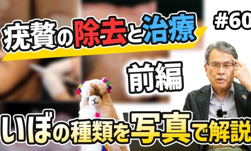 熟地黄的功效与作用图片-熟地黄的功效与作用网 - 为你提供九蒸九晒熟地黄的功效与作用、熟地黄的功效与作用吃法大全